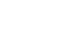 logo_bornPrimitive-1